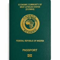 PASSPORT RENEWAL ASSISTANCE FOR NIGERIANS IN RUSSIA