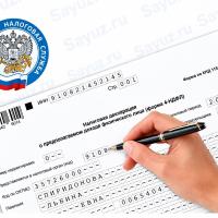 Tax Declaration Service — RVP / ВНЖ / Russian Citizenship